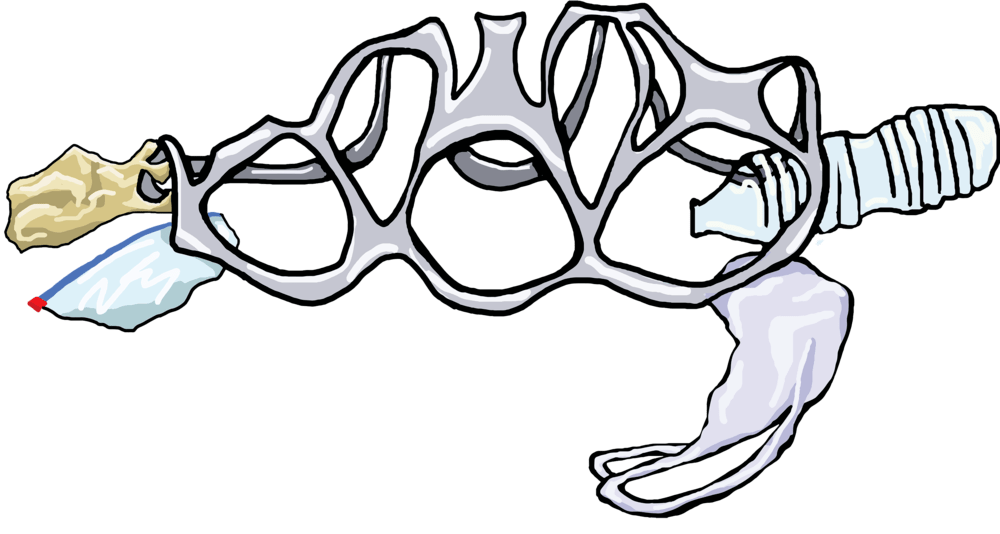 Plastic-Free Living – Is it for&nbsp;you?